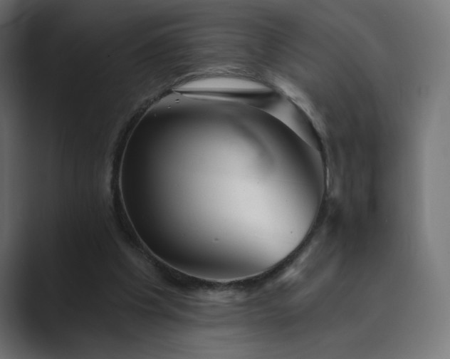 X0000089960201200706291235