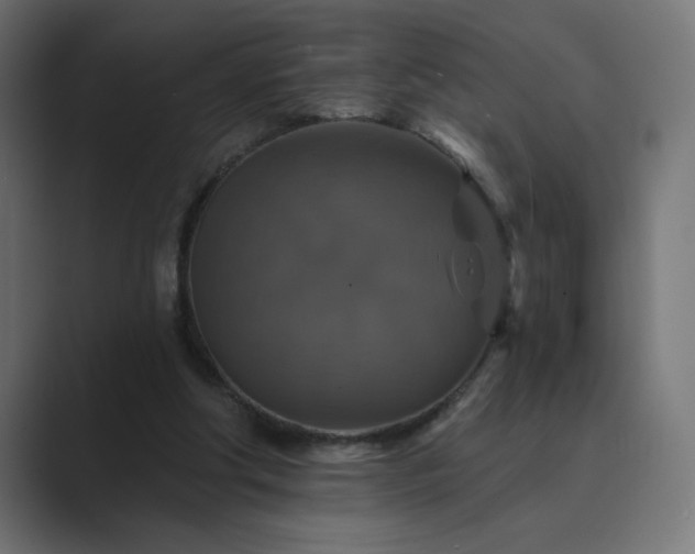 X0000089960202200706291235
