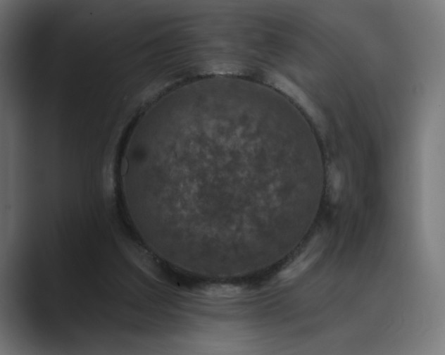 X0000089960203200706291235
