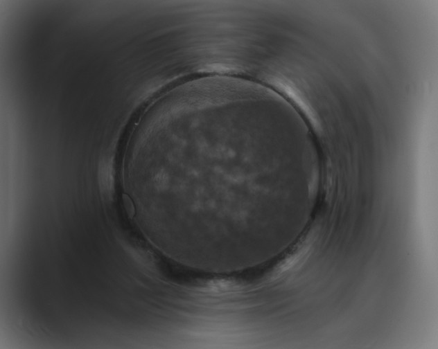 X0000089960204200706291235