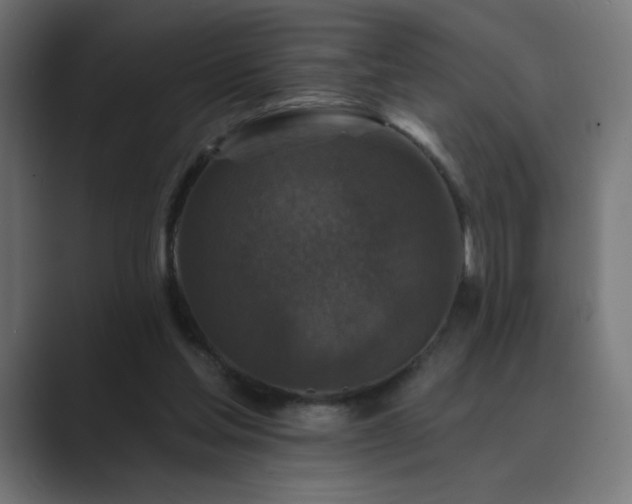 X0000089960205200706291235