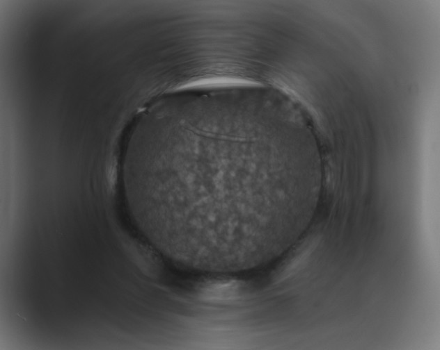 X0000089960206200706291235