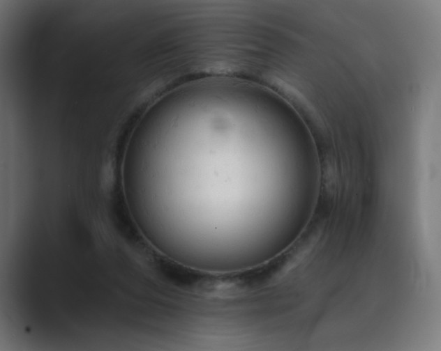 X0000089960208200706291235