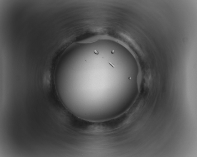 X0000089960211200706291235