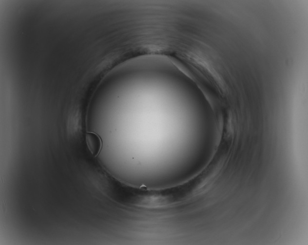 X0000089960212200706291235