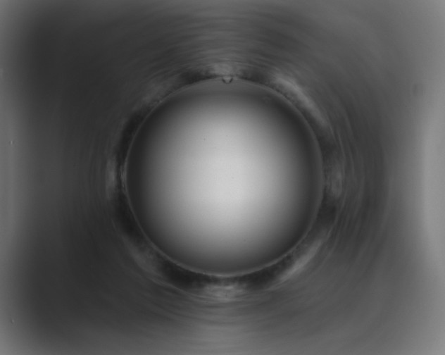 X0000089960213200706291235