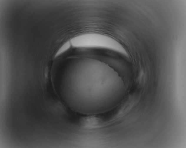 X0000089960219200706291235
