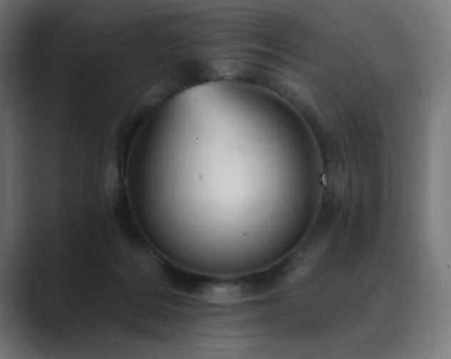 X0000089960220200706291235