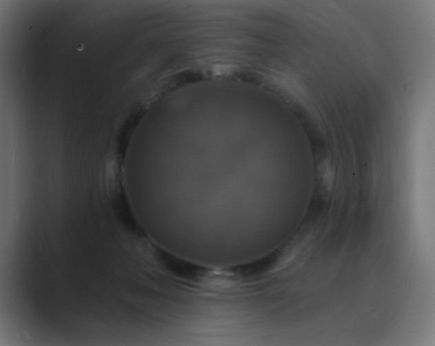 X0000089960222200706291235