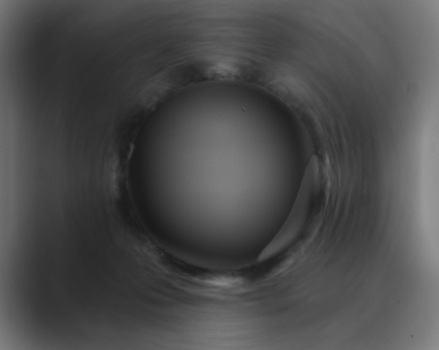 X0000089960223200706291235