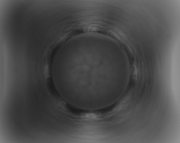 X0000089960224200706291235