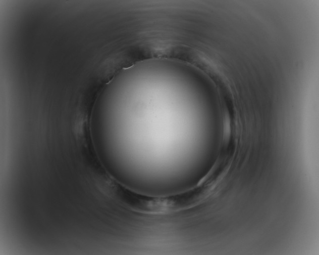 X0000089960225200706291235