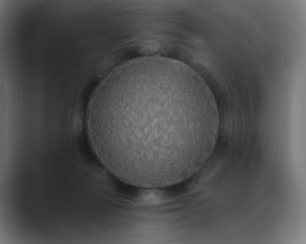 X0000089960226200706291235