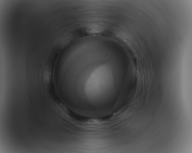 X0000089960227200706291235