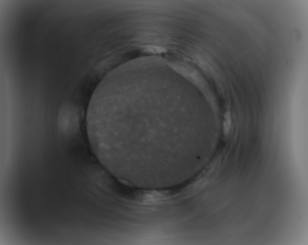 X0000089960229200706291235