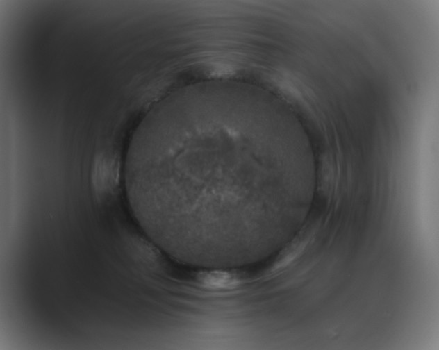 X0000089960230200706291235