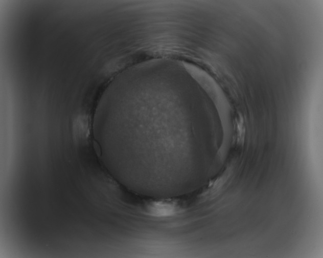 X0000089960232200706291235
