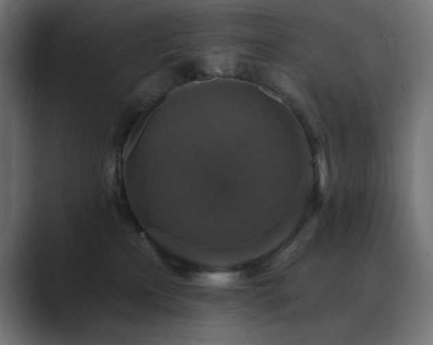 X0000089960233200706291235
