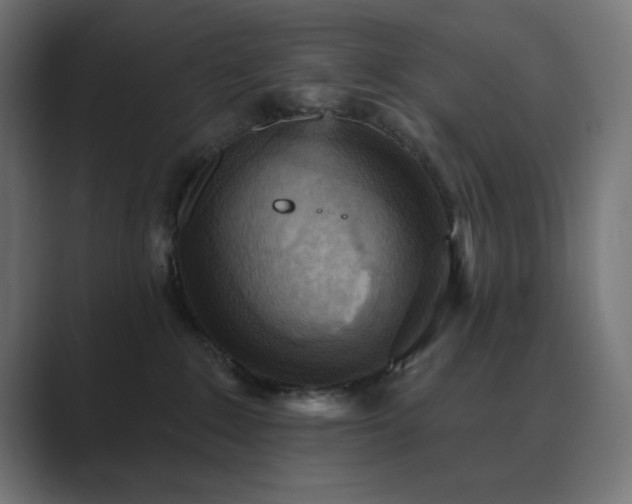 X0000089960235200706291235