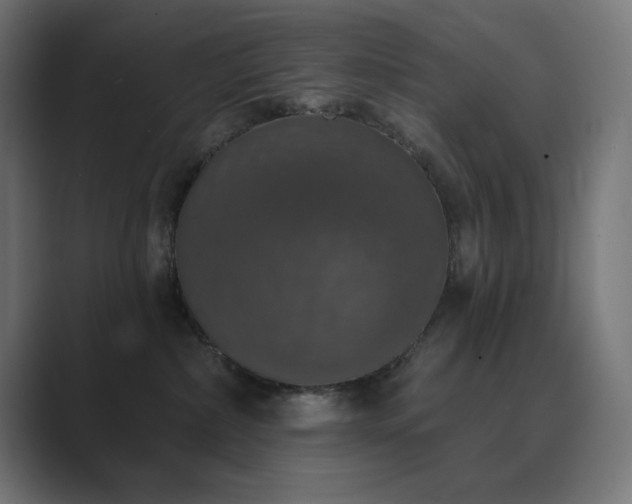 X0000089960236200706291235