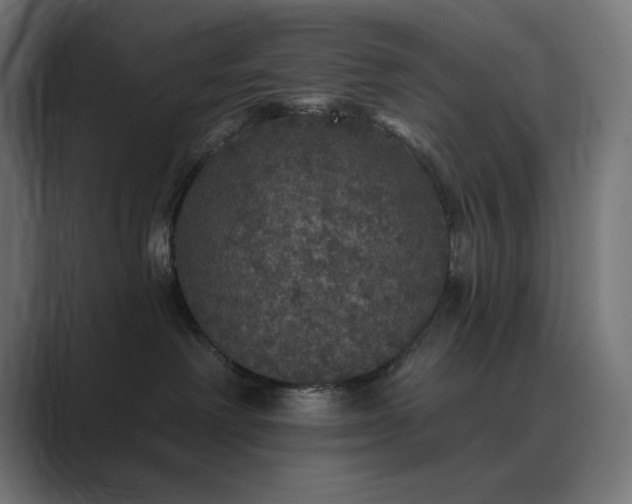 X0000089960238200706291235