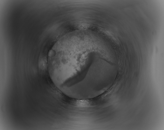 X0000089960240200706291235