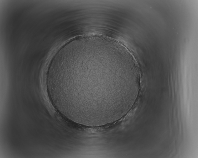 X0000089960241200706291234
