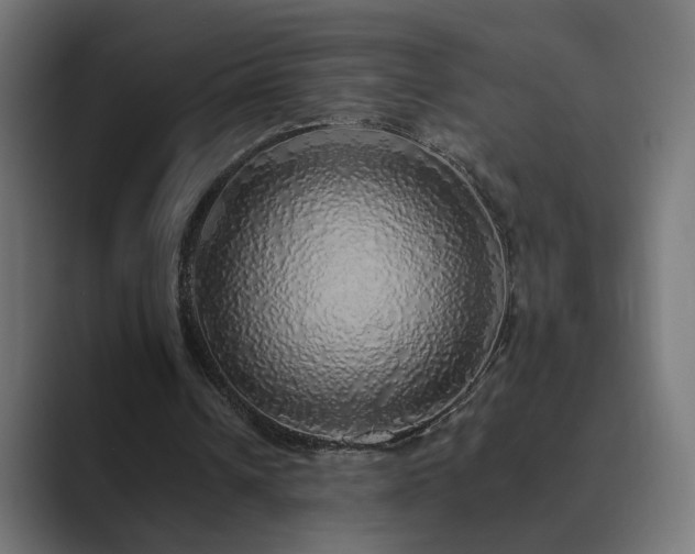 X0000089960242200706291234