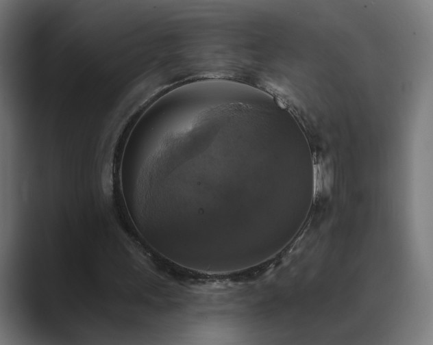 X0000089960243200706291234