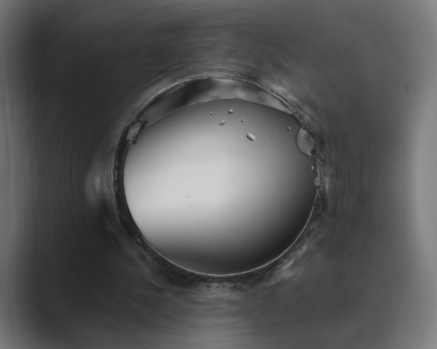 X0000089960244200706291234