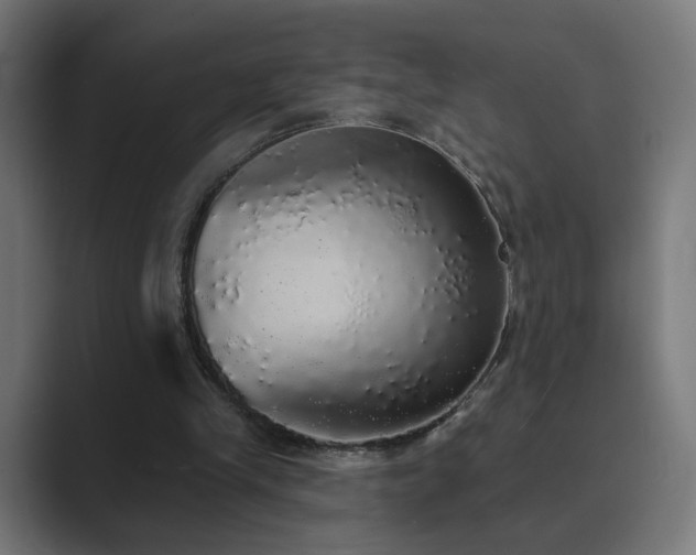 X0000089960245200706291234