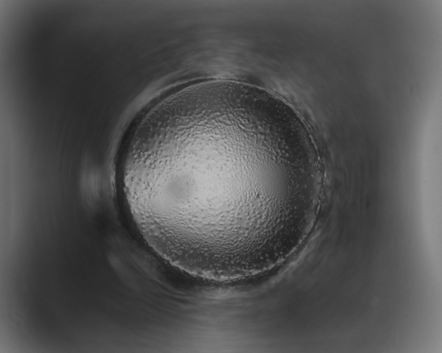 X0000089960246200706291234