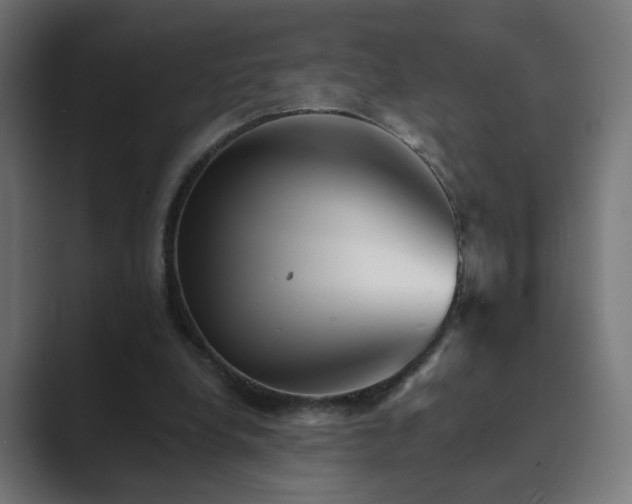 X0000089960248200706291234