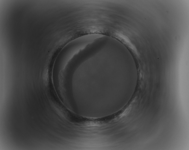 X0000089960250200706291234