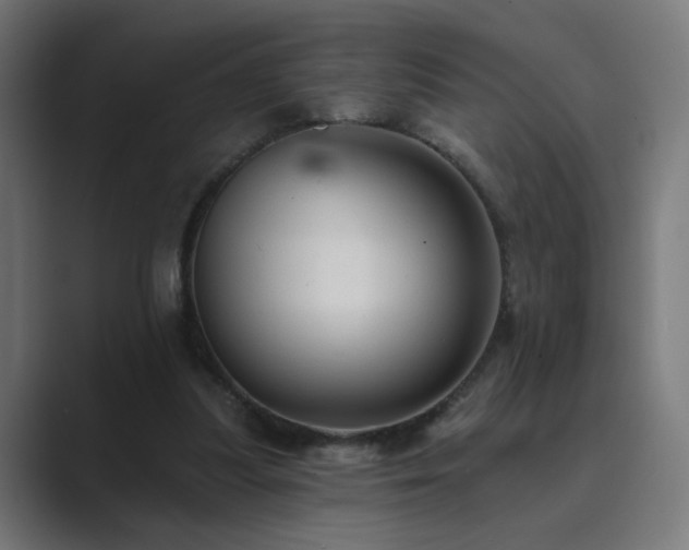 X0000089960251200706291234