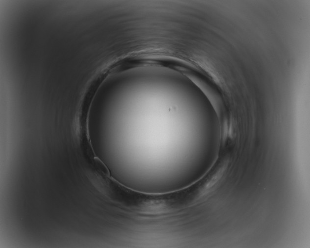X0000089960252200706291234