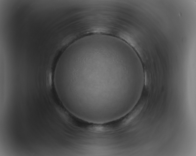 X0000089960253200706291234
