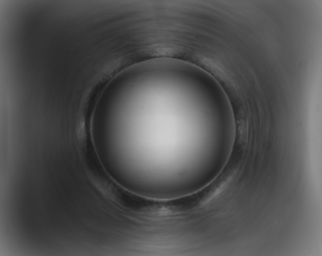 X0000089960254200706291234
