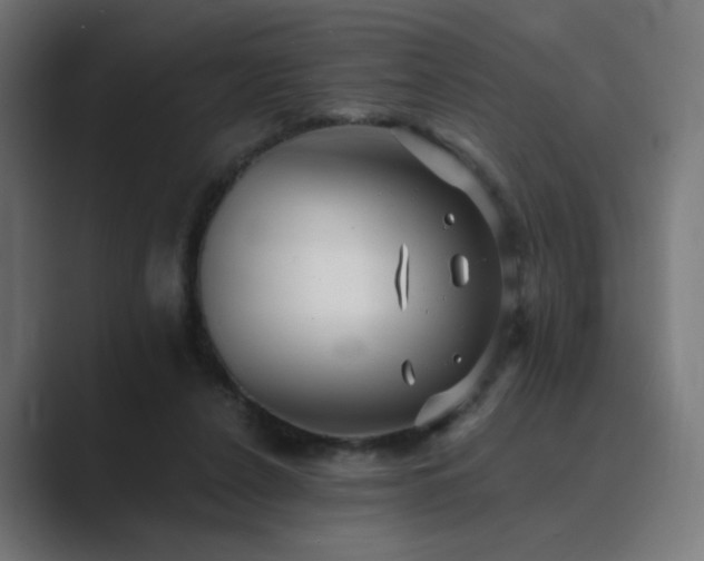 X0000089960256200706291234