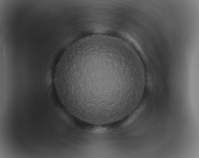 X0000089960257200706291234