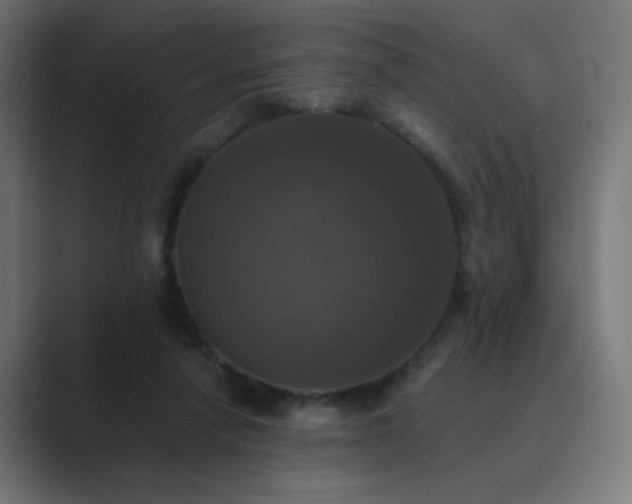 X0000089960258200706291234