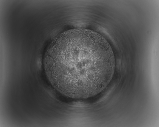X0000089960259200706291234