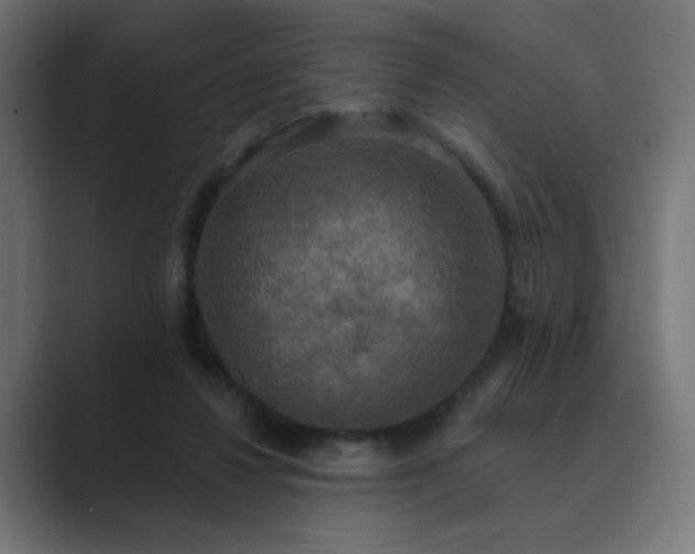 X0000089960260200706291234