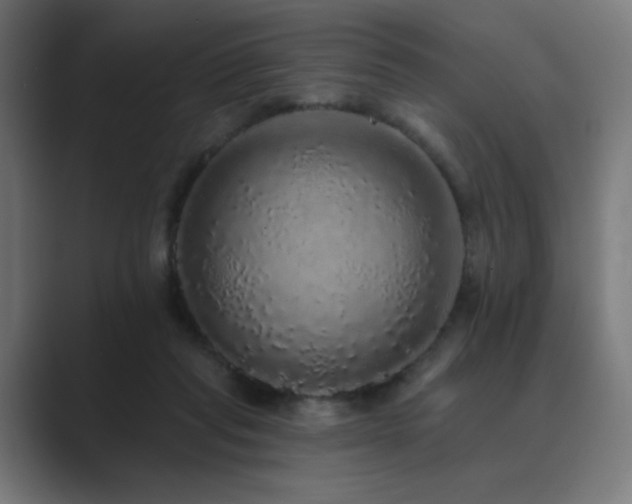 X0000089960261200706291234