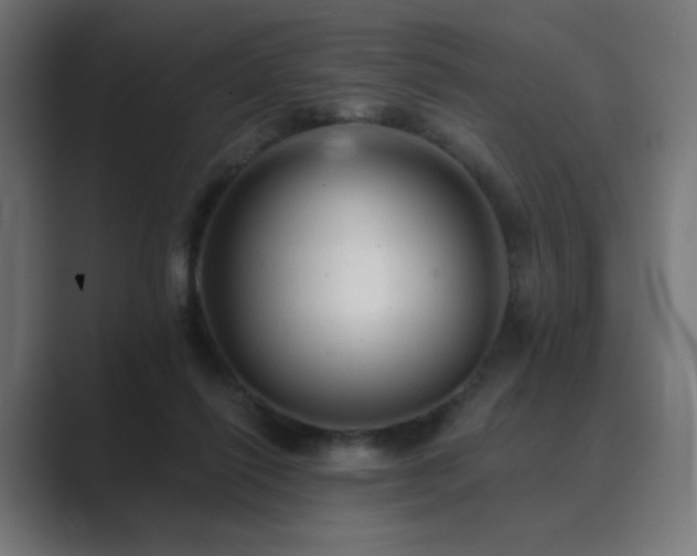 X0000089960262200706291234