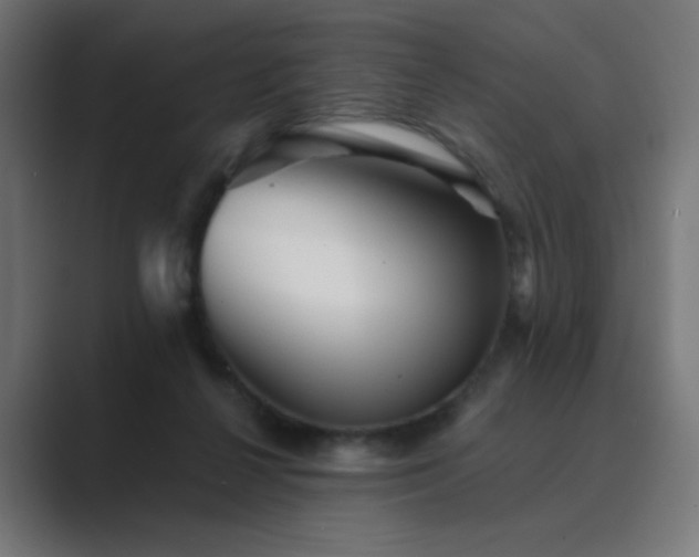 X0000089960264200706291234