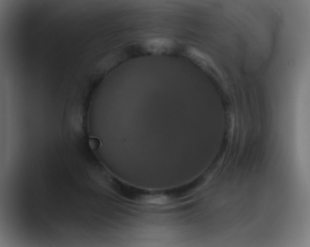 X0000089960266200706291234