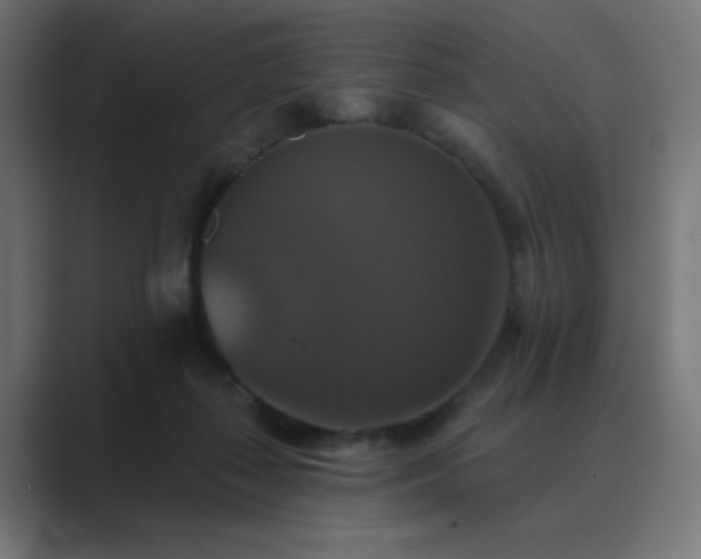 X0000089960267200706291234