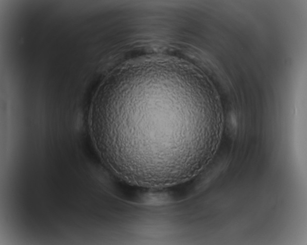 X0000089960270200706291235