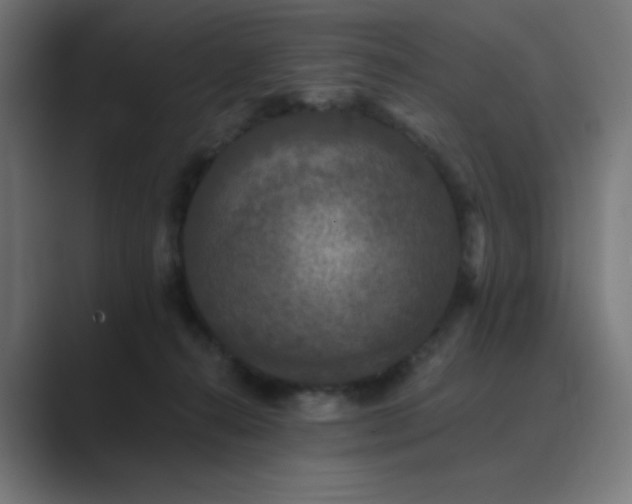 X0000089960272200706291235